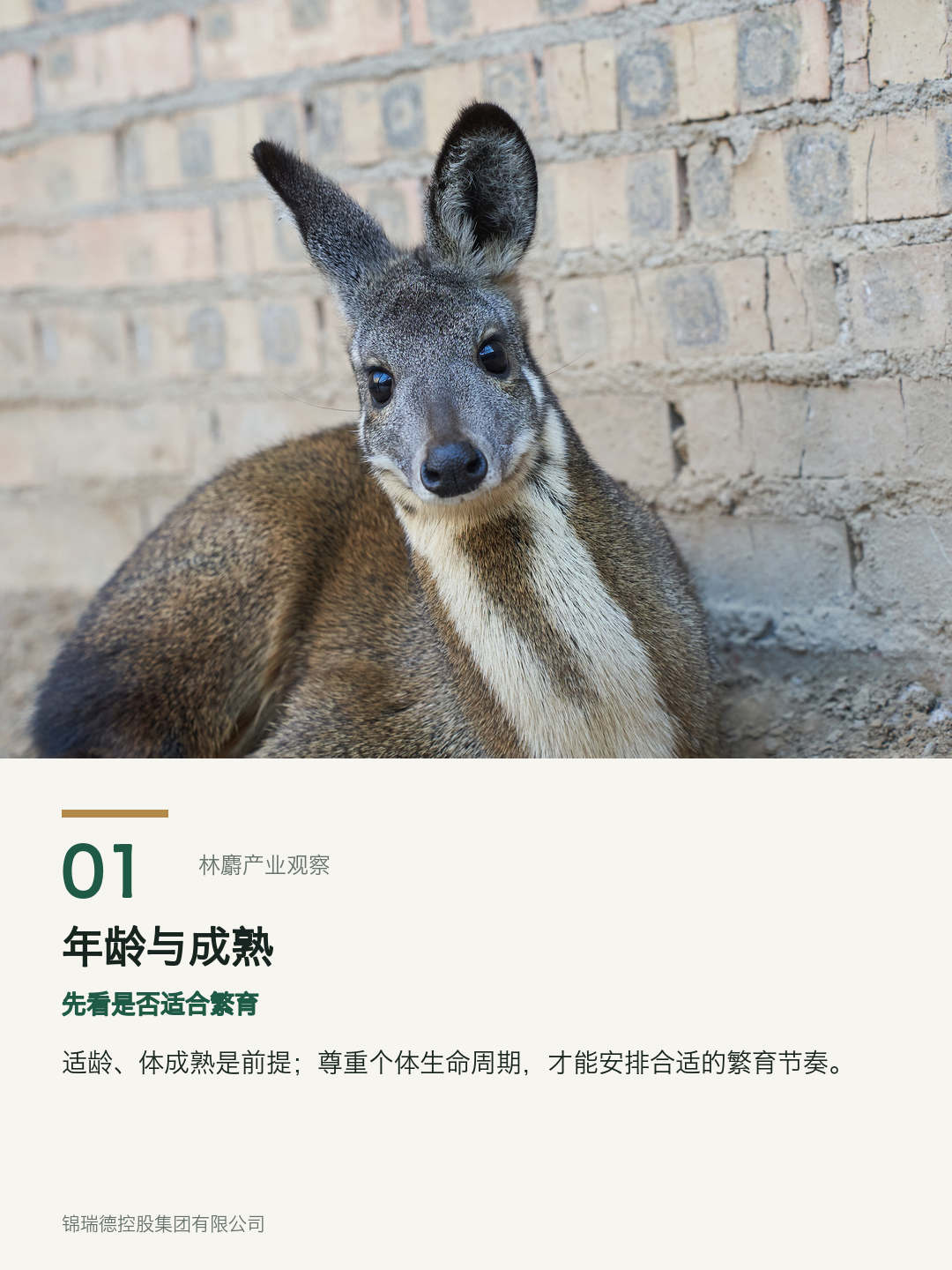 01-年龄与成熟.png 01-年龄与成熟.png