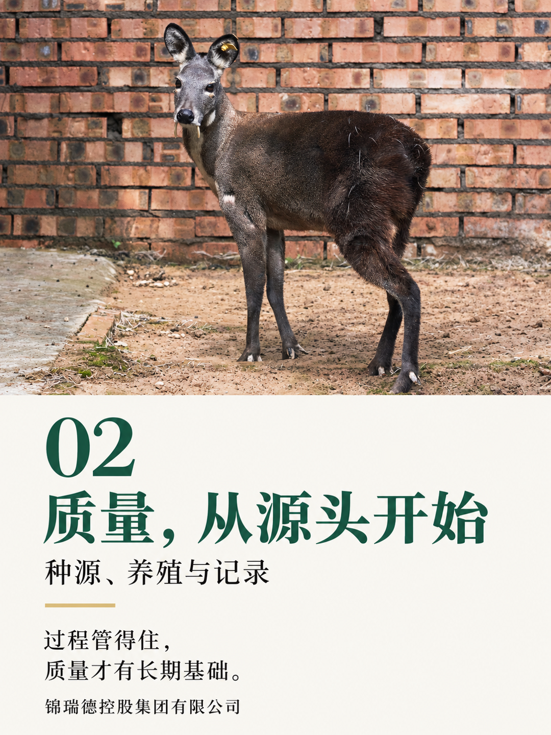 02-质量从源头开始.png