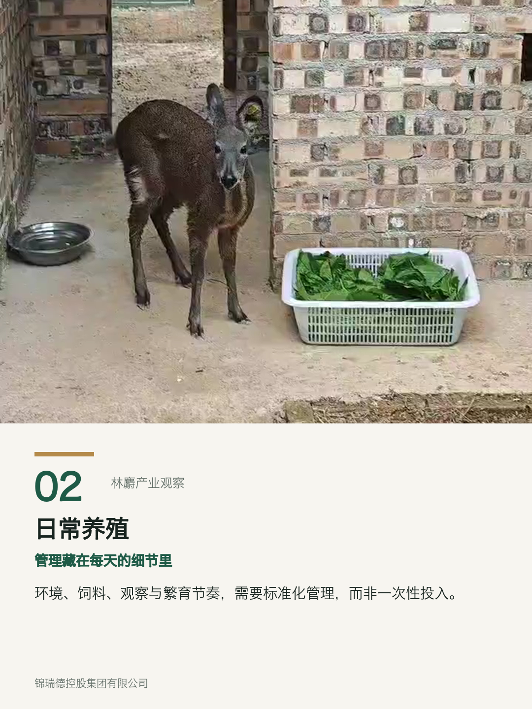 02-日常养殖.png
