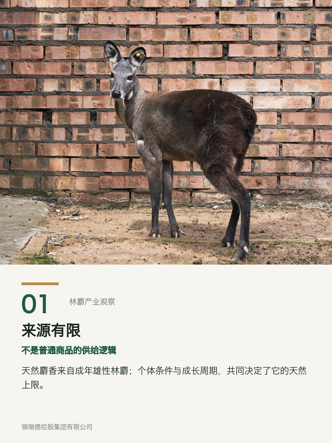 01-来源有限.png