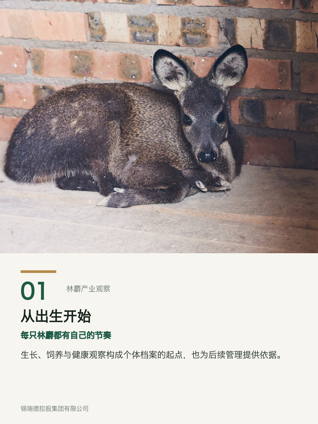 01-从出生开始.png