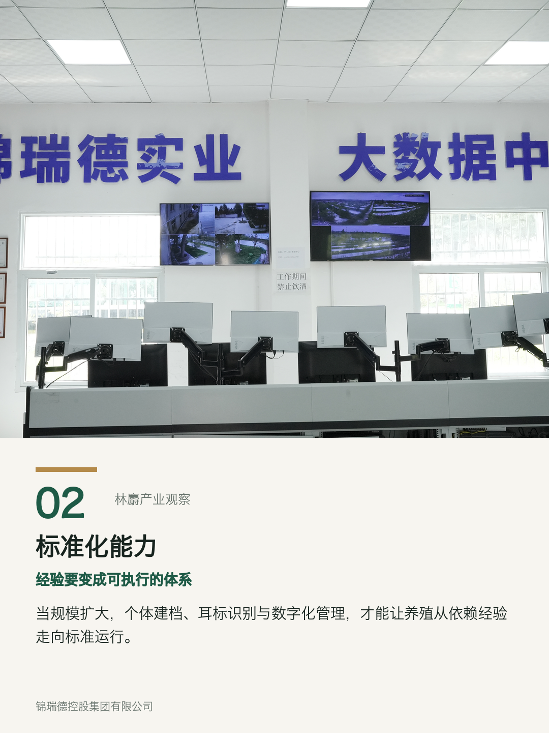 02-标准化能力.png