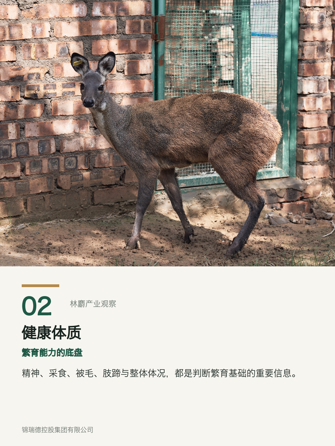 02-健康体质.png 02-健康体质.png