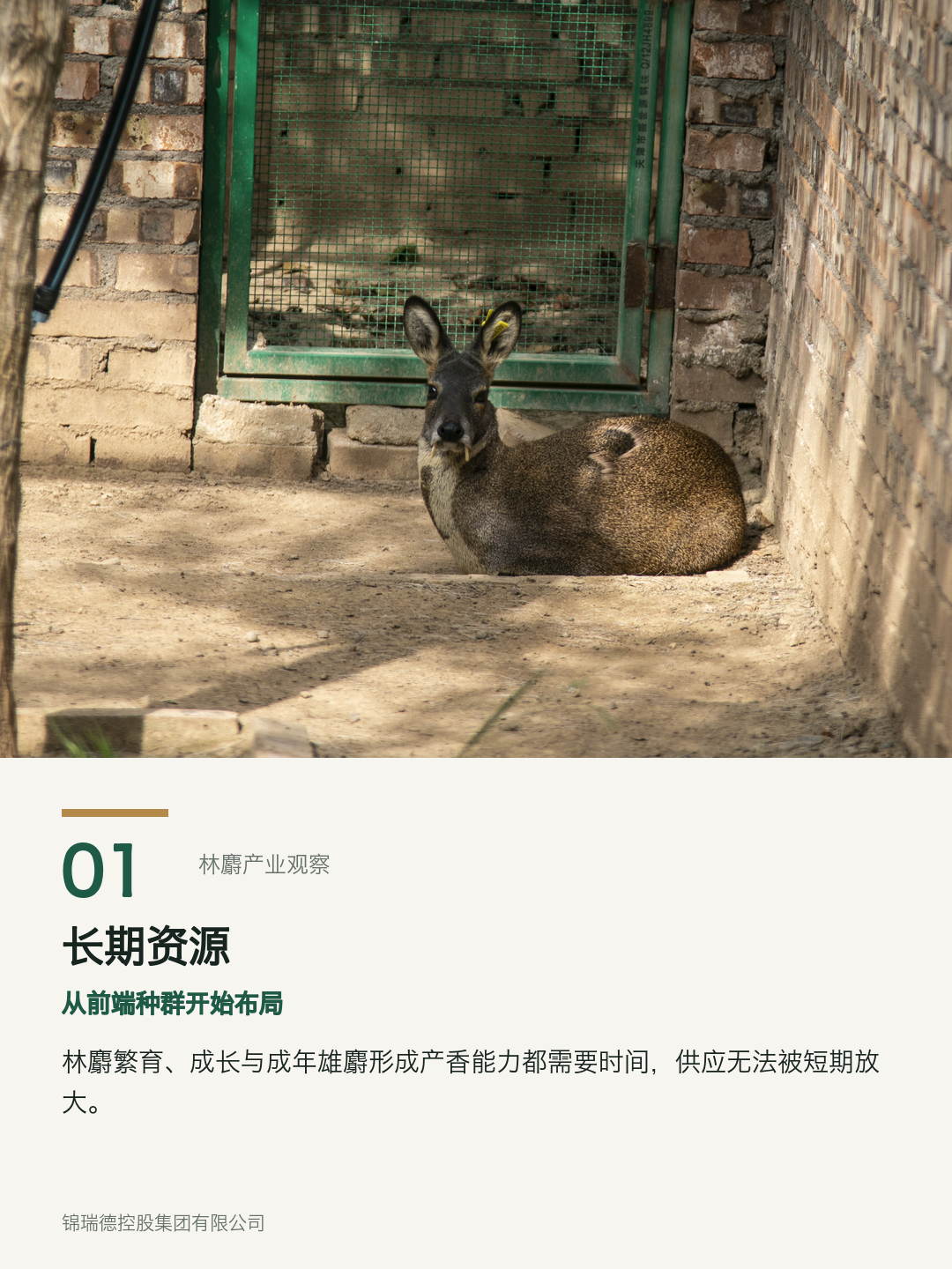 01-长期资源.png