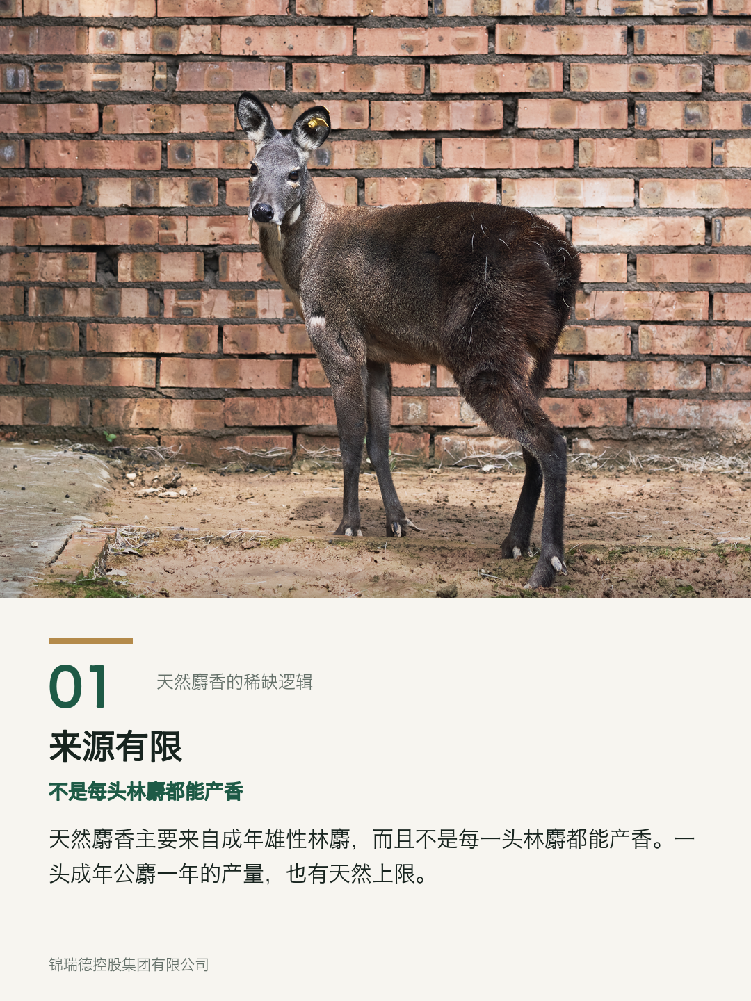 01-来源有限.png