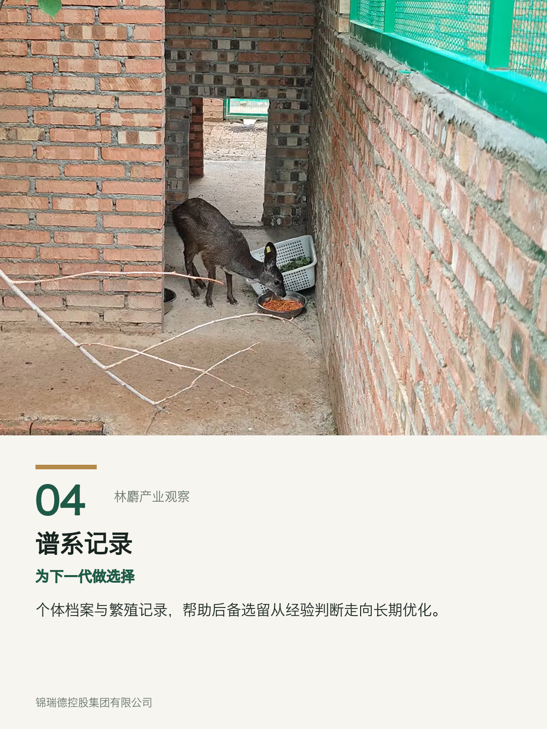 04-谱系记录.png 04-谱系记录.png