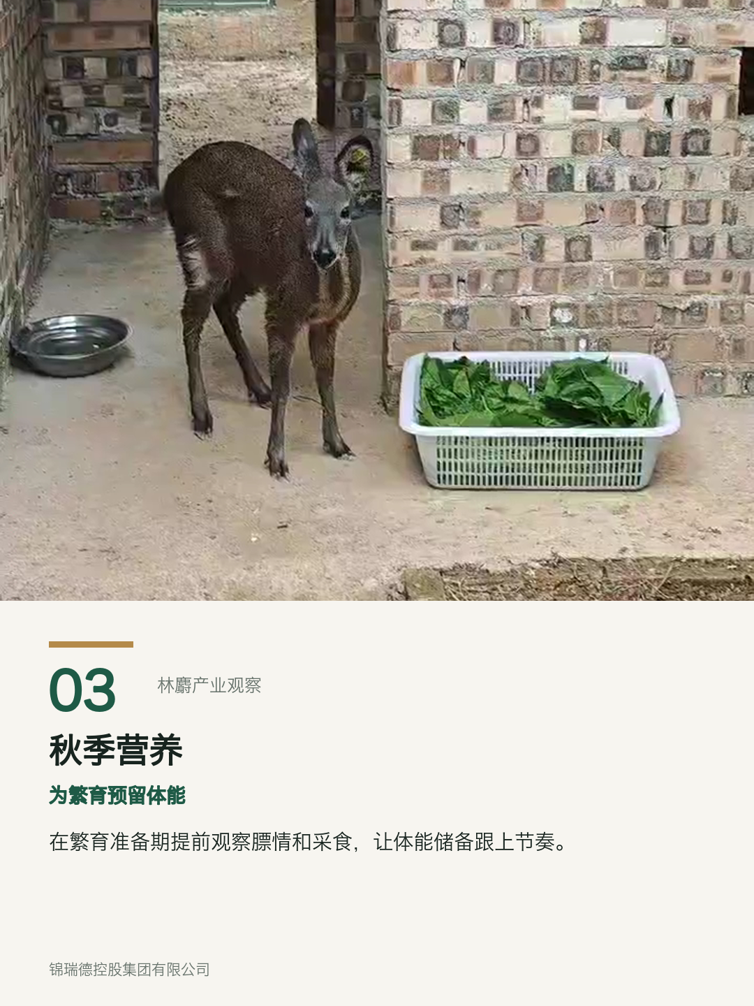 03-秋季营养.png